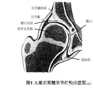 暂无