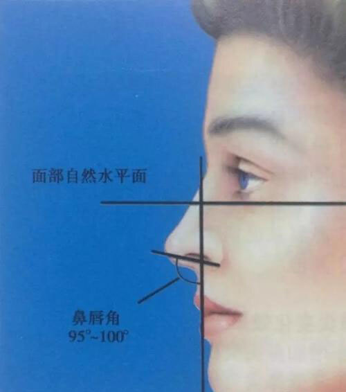 鼻部整形_整形鼻部需要多少钱_整形鼻部一般多少钱
