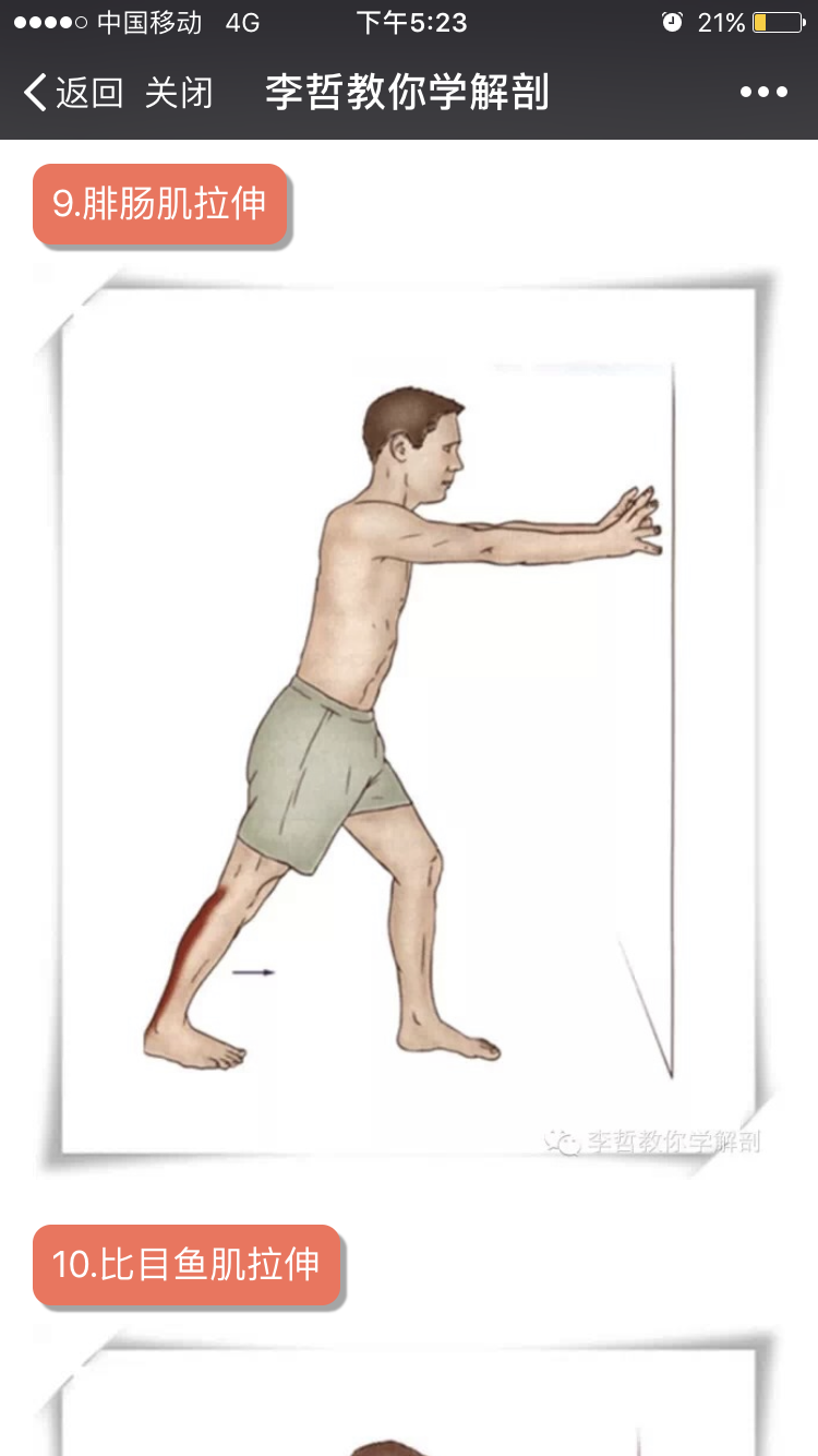 如何拉伸小腿前面肌肉 u4YBAFgq1OGAHLlpAAPuzG5LFW0544.png?_ms_=bdc7