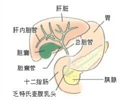 暂无