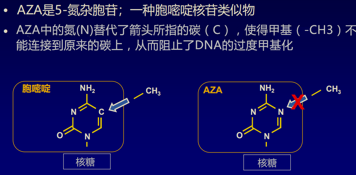 aza阻止甲基化_副本.png