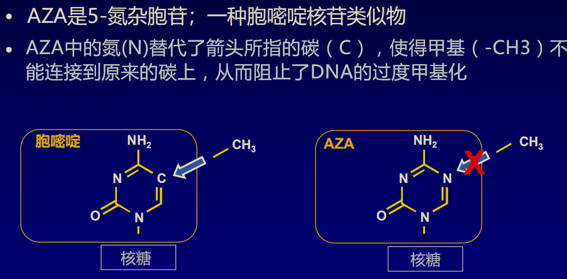 1545057828672396.png aza阻止甲基化_副本.png
