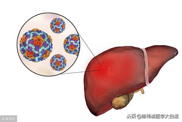 甲型肝炎病毒的受感染者以儿童和青少年为主,多数感染者为没有症状的