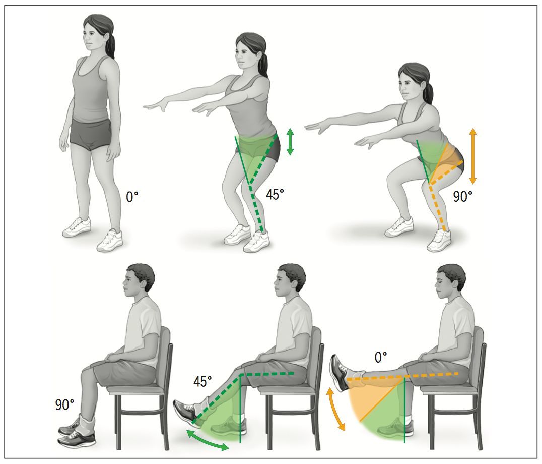 科普专栏——膝前痛抗阻训练的重点难点 - 好大夫在线