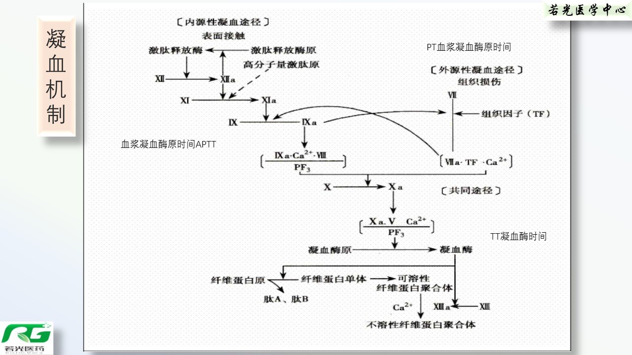 uoYBAFyiIy6AZJTJAAKrHGxVptM586.jpg?_ms_=315c