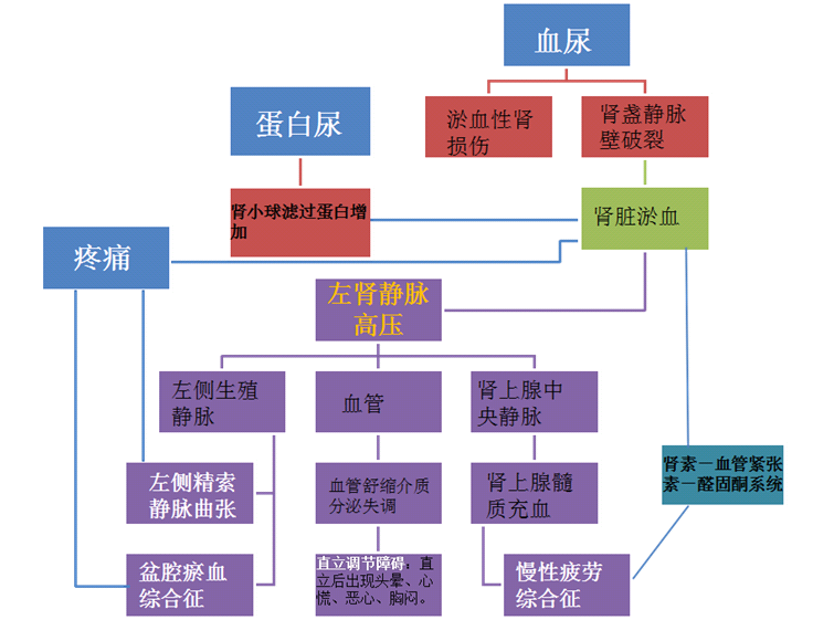 胡桃夹综合征10问 胡桃夹综合征 治疗方法