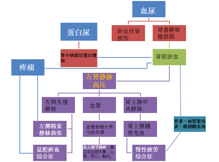 胡桃夹综合征10问 胡桃夹综合征 治疗方法 胡桃夹综合征10问 胡桃夹综合征 治疗方法