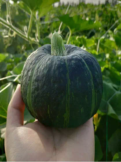 暂无