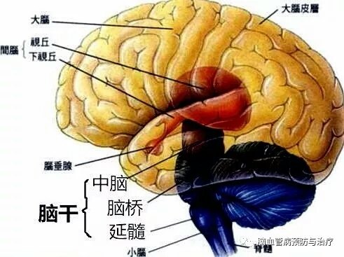 暂无