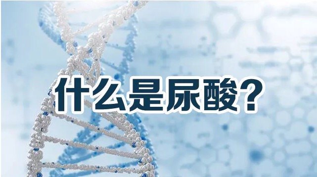 高高高高 请您关注第四高 痛风 痛风饮食运动