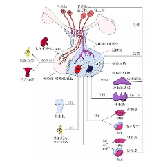 图片 1.png