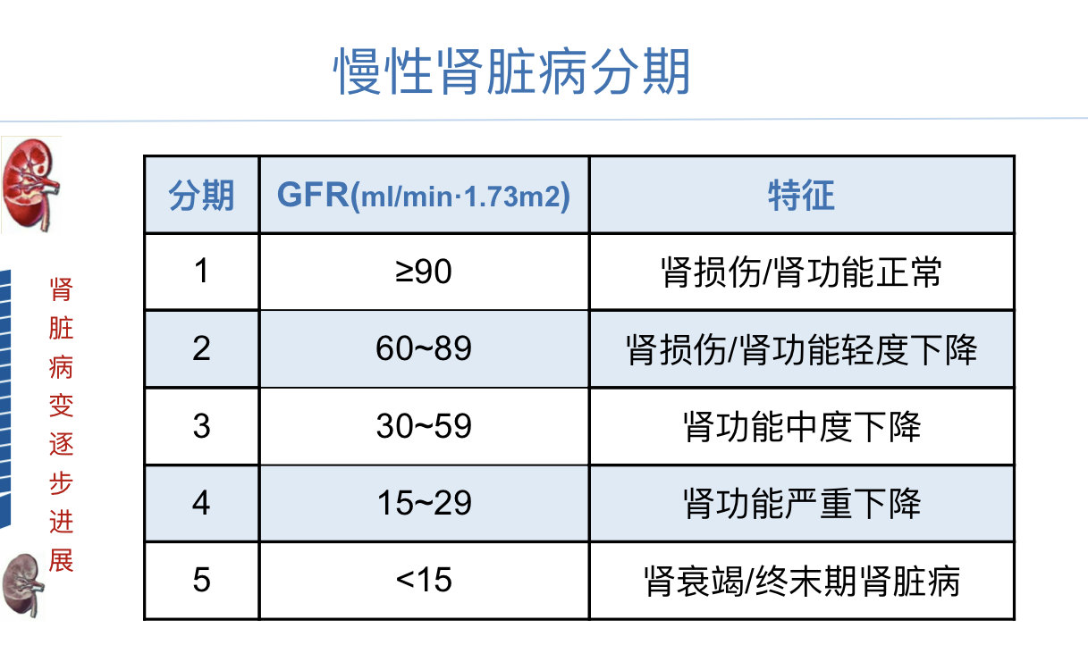 帶您認識慢性腎臟病系列之三如何評估腎功能