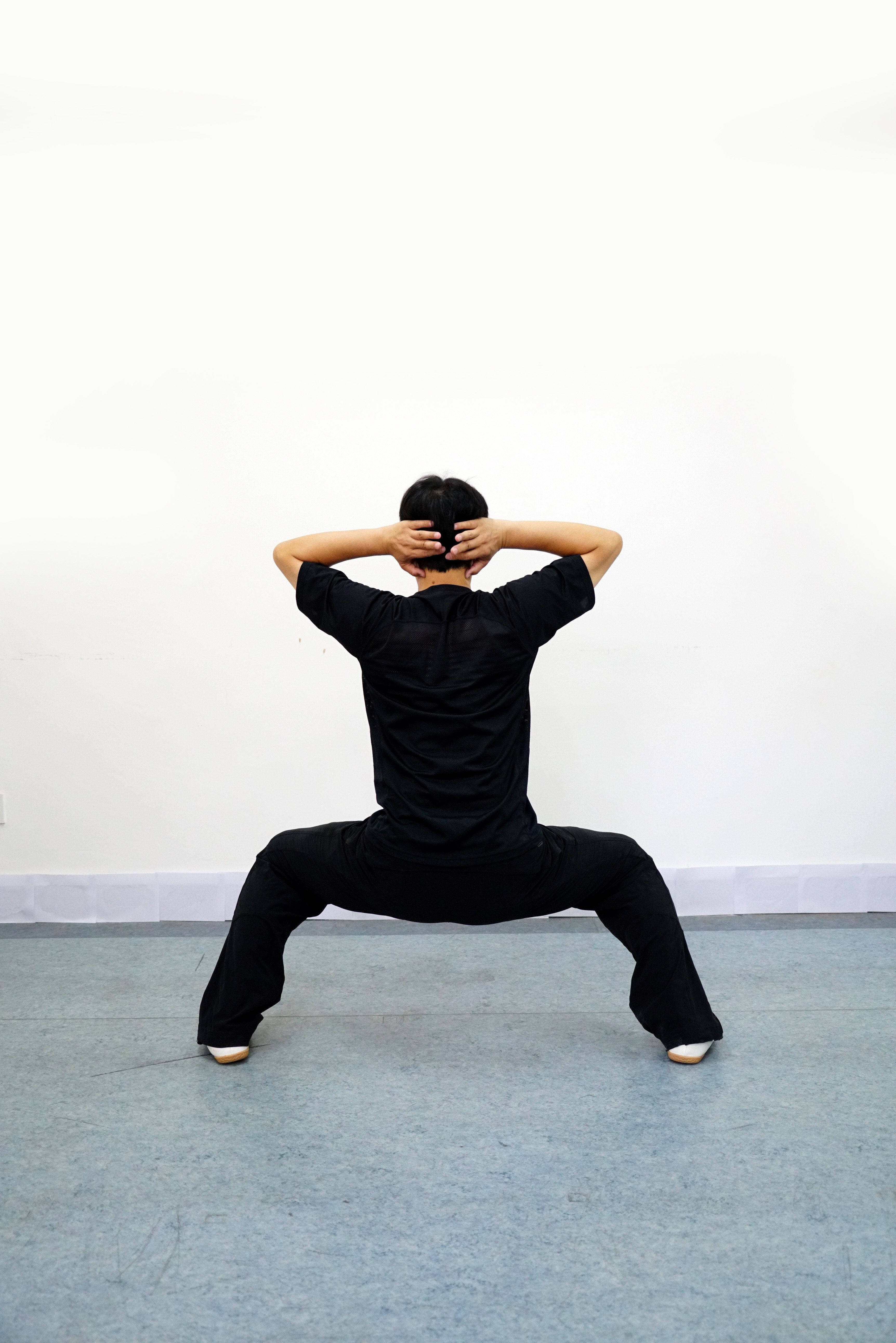 超哥版真传易筋经正气存内邪不可干防治新冠从我做起