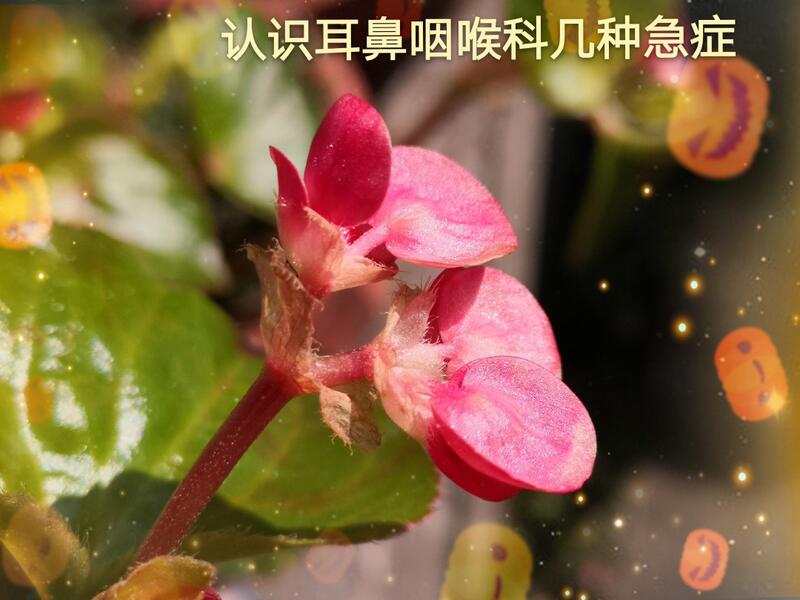 圖文圖片