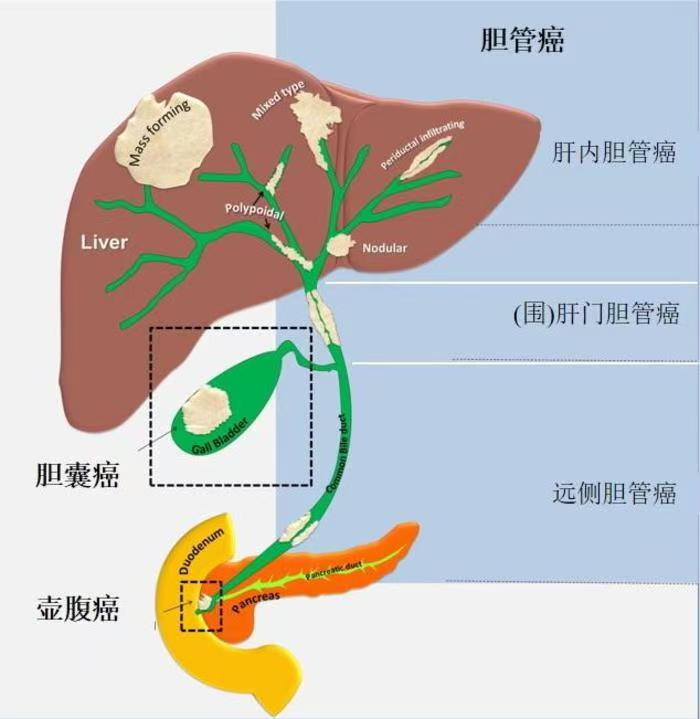 图文图片