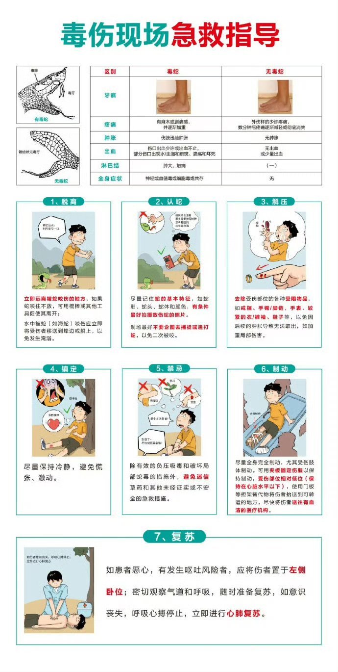 圖文圖片