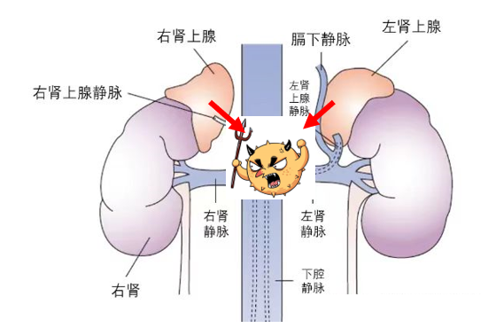 多巴胺分泌不足是什么病 0U3zWIKDZzktjdeWk6001755333606.png?_ms_=f11c