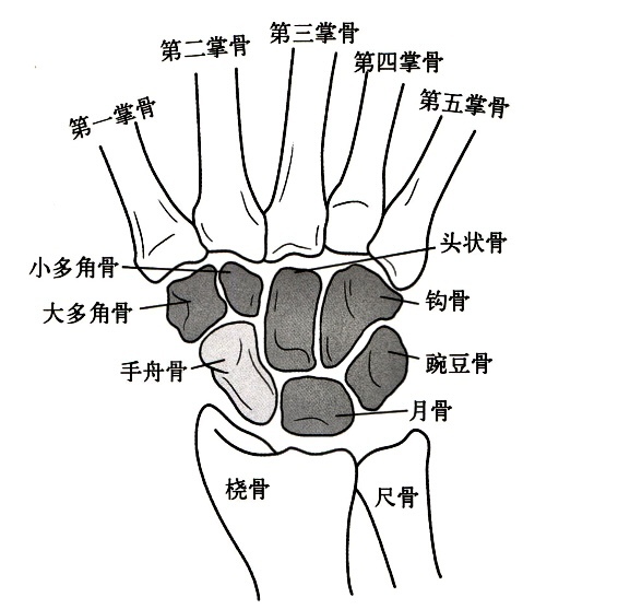 圖文圖片