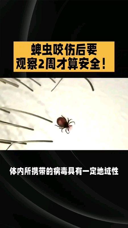 視頻封面