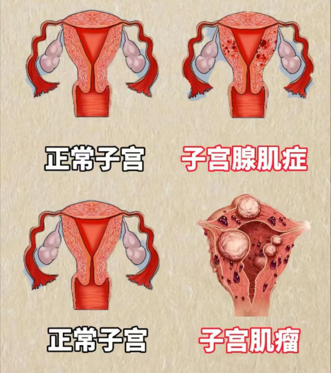 图文图片