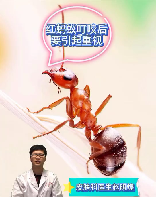 視頻封面