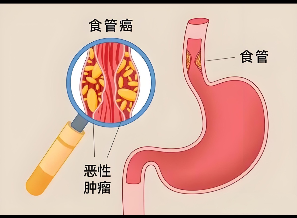 图文图片