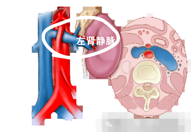 圖文圖片