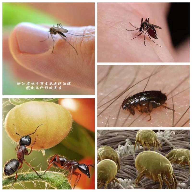 圖文圖片