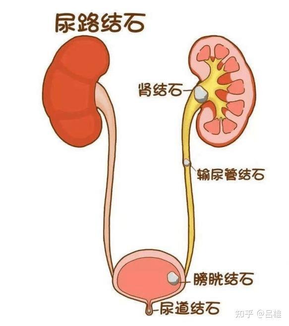 圖文圖片