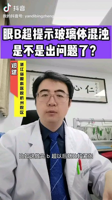 飞蚊症，检查眼B超提示玻璃体混浊是不是出问题了