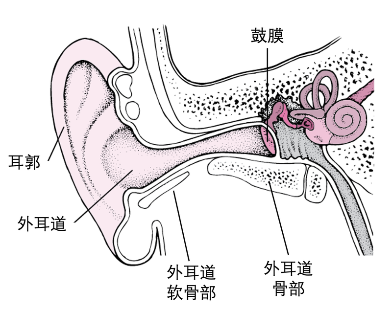 圖文圖片