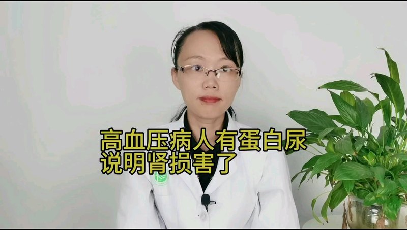 高血压出现蛋白尿说明肾损害了