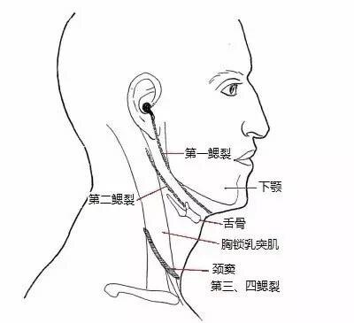 圖文圖片