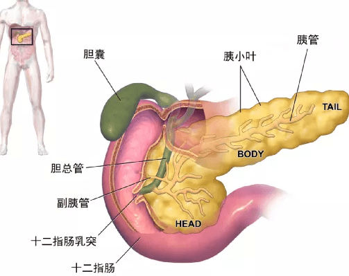 圖文圖片