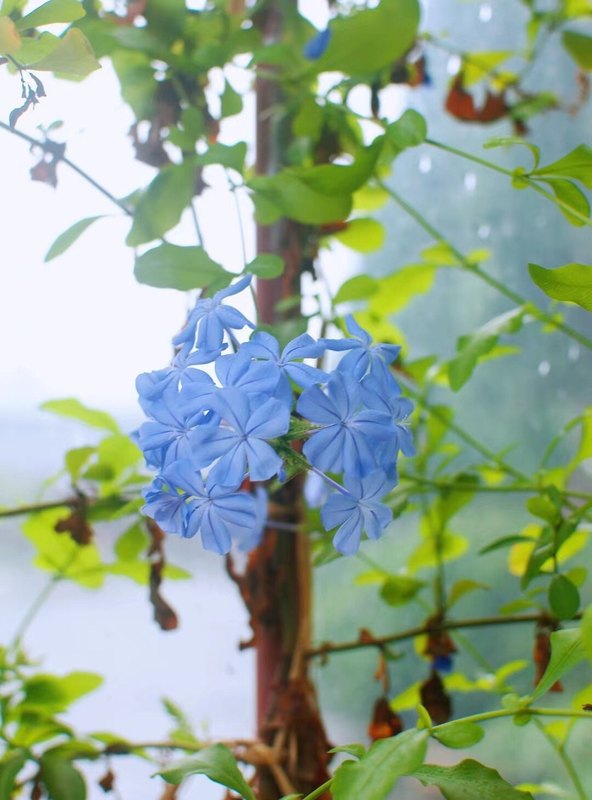圖文圖片