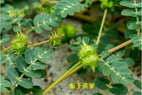 圖文圖片