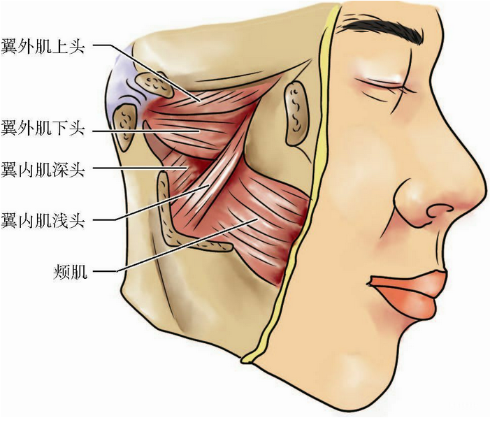 圖文圖片