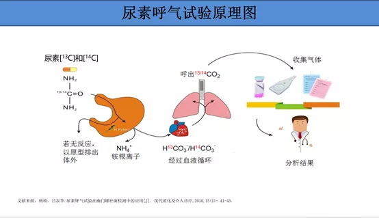 圖文圖片