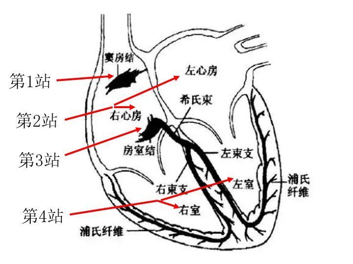 圖文圖片