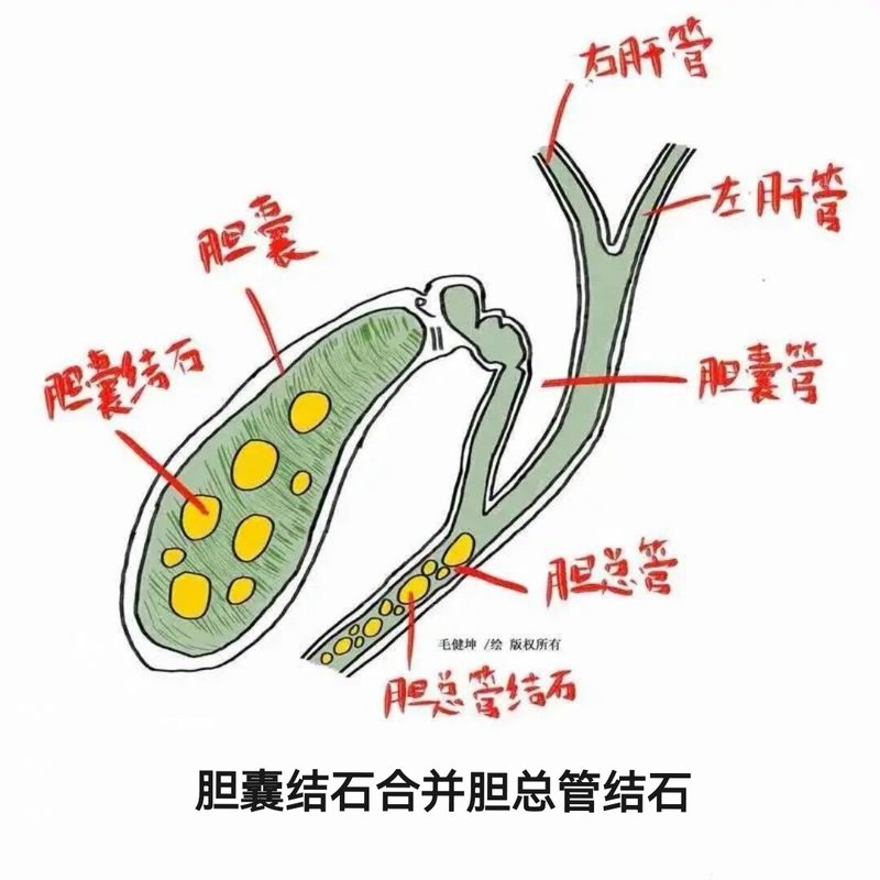 圖文圖片