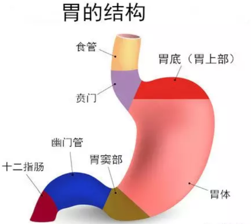 图文图片