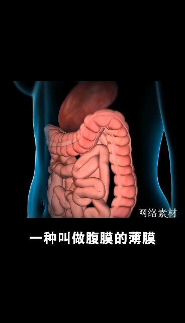 3D动画带你了解腹壁切口疝是如何形成的。＃切口疝 ＃医学科普系列＃小儿疝气