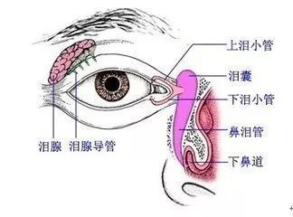 圖文圖片