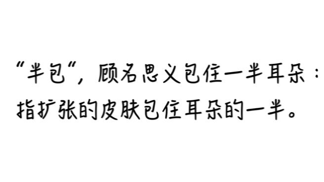 耳再造之半包是什么