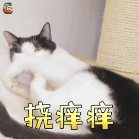 圖文圖片