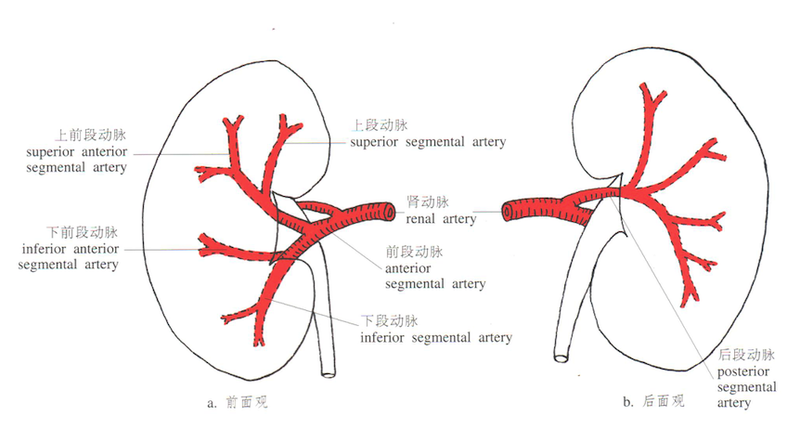 圖文圖片