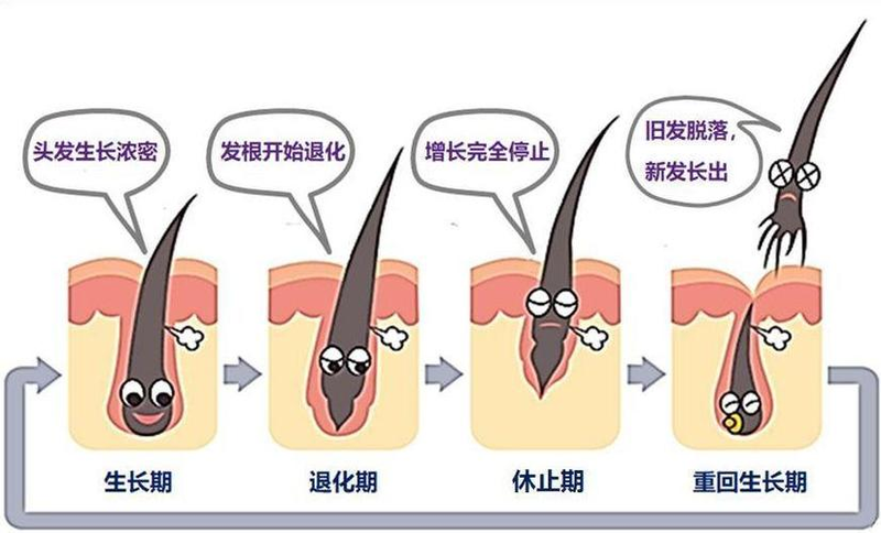 圖文圖片