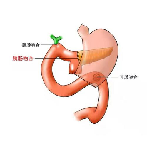 图文图片