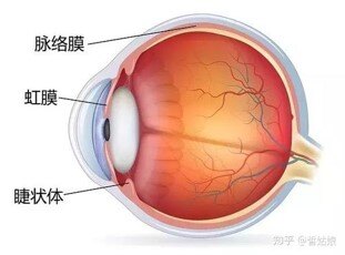 圖文圖片