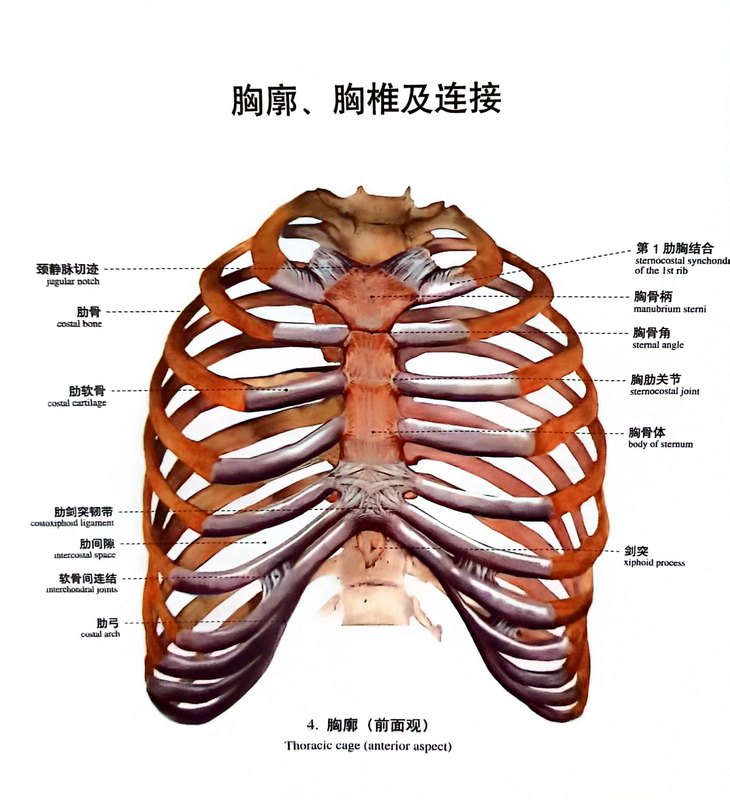 圖文圖片